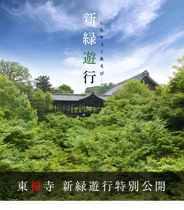 新緑遊行(しんりょくあそび)