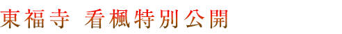 平成26年度　東福寺　看楓特別拝観